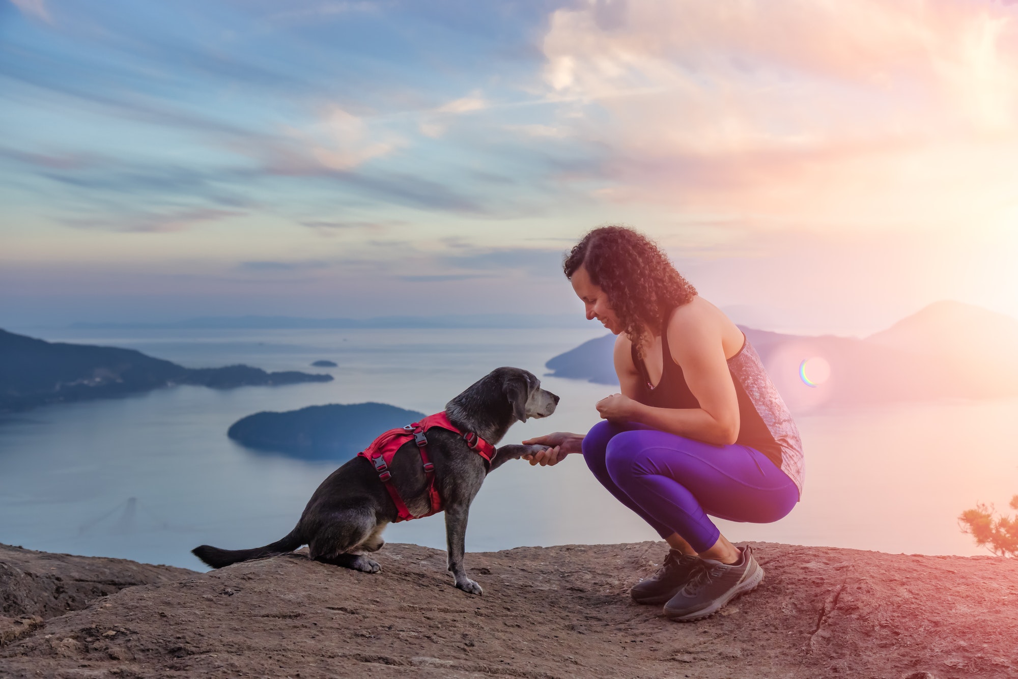 Woman hiking on top of a mountain with a dog